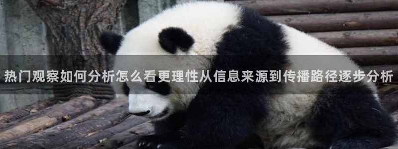 吃瓜不打烊：热门观察如何分析怎么看更理性从信息来源到传播路径逐步分析