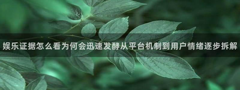 51吃瓜今日：娱乐证据怎么看为何会迅速发酵从平台机制到用户情绪逐步拆解