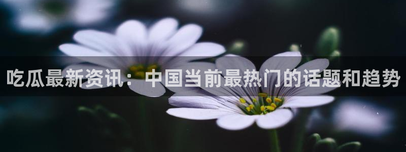qq吃瓜群