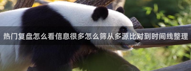 51吃瓜下载：热门复盘怎么看信息很多怎么筛从多源比对到时间线整理